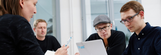 Gruppe Personen bespricht einen Site Audit