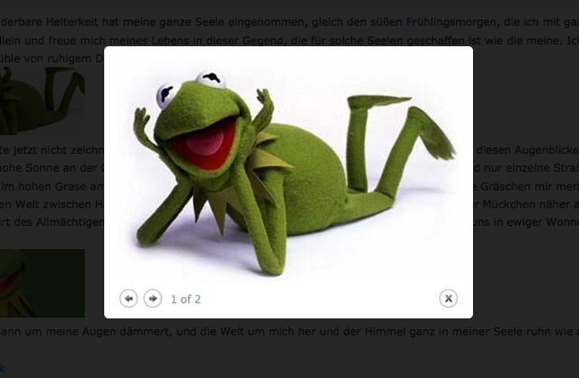 Galerie Ergebnis Bild 2