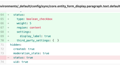 Configuration changes in Paragraphs form display